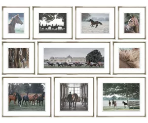 Сет постеров из 10 штук Темплтон Стад Коллекшн (Templeton Stud Collection), рама 424