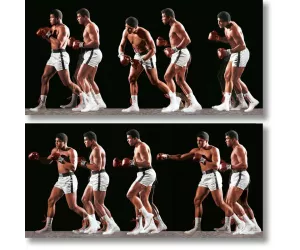 Постер Leifer, Ali Invents the Double-Clutch Shuffle-NON