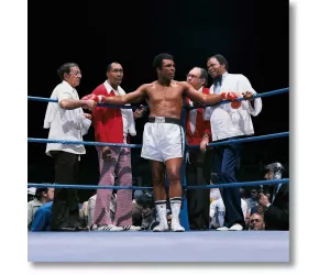 Постер Leifer, Ali vs. Lyle, The Champ's Corner, 1975-NON