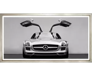 Постер Car Panorama 8, Contemporary Silver 624