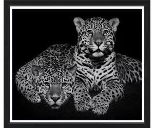 Постер Big Cats (106x125)