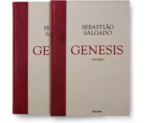 Книга «Сальгадо. Генезис. SUMO» (Salgado, Genesis SUMO)