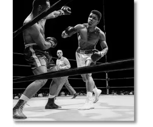 Постер Лайфер. Али против Фолли (Ali vs. Folley)