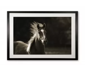 Постер Элис Гиппс Хорс (Alice Gipps Horse), в рамке 615L/1