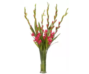 Цветы Гладиолусы (Gladiola, фуксия), в стеклянной вазе