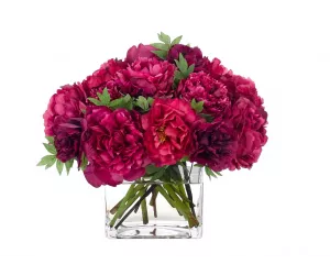 Цветы Пионы цвета фуксия (Peony), в стеклянном кубе