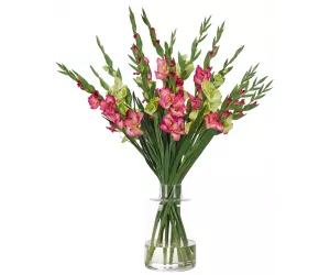 Цветы Гладиолусы (Gladiola, розово-зеленые), в стеклянной вазе