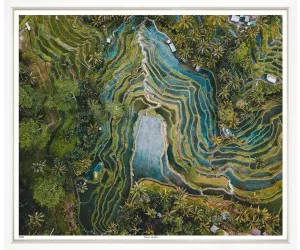 Постер в раме Тропикал Гарден (Tropical Garden)
