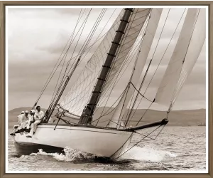 Постер Зе Леди Энн (The Lady Anne)