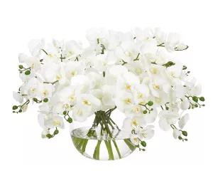 Цветочная композиция Орхидея Фаленопсис I (Orchid Phalaenopsis, белая)