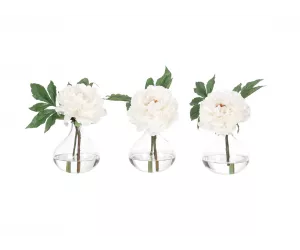 Цветы Пеоны (Peony), в стеклянном шаре, сет из 3