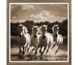 Постер Пляжные Жеребцы (Beach Stallions), 2