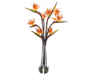 Цветы Bird Of Paradise, оранжевые в стеклянной вазе