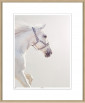 Постер в раме Graceful Steed