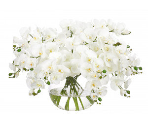 Цветочная композиция Orchid Phalaenopsis, white