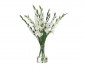 Цветы Gladiola, белые в стеклянной вазе