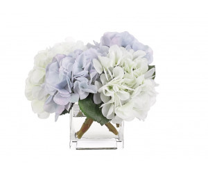 Цветы Hydrangea Бело-голубые в стеклянном кубе