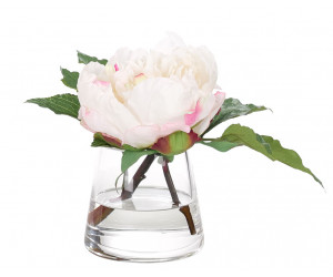 Цветы Peony 7"Hx10"W KF578