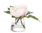 Цветы Peony 7"Hx10"W KF578