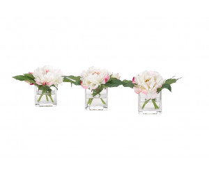 Цветы Peony/Set Of 3