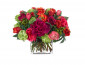 Цветы Peony Ranunculus, фуксия с оранжевым в стеклянном кубе