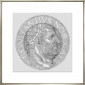 Постер Goltzius Coins Grey 5, рамка 424