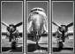 Постер DC-3 Aeroplane